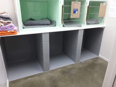 Vet clinic kennels coated