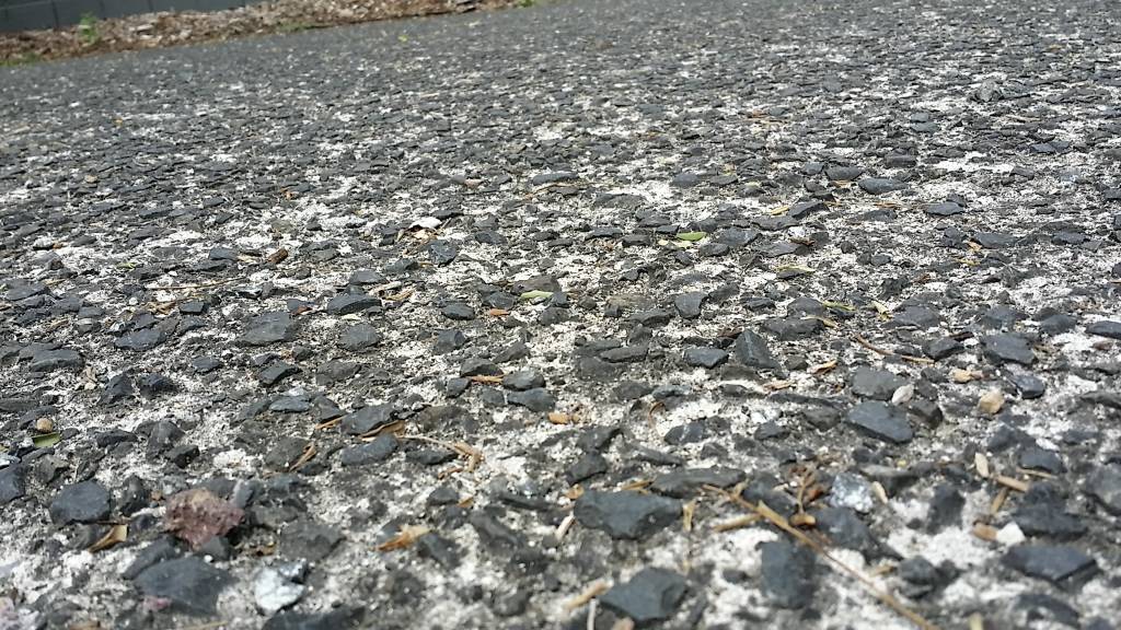 Rough concrete around home in auckland