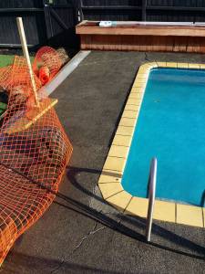 Before woodcrete
