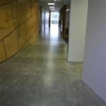 Surface Polished Concrete