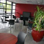 Sth Pacific Pictures Cafe - Polished Concrete