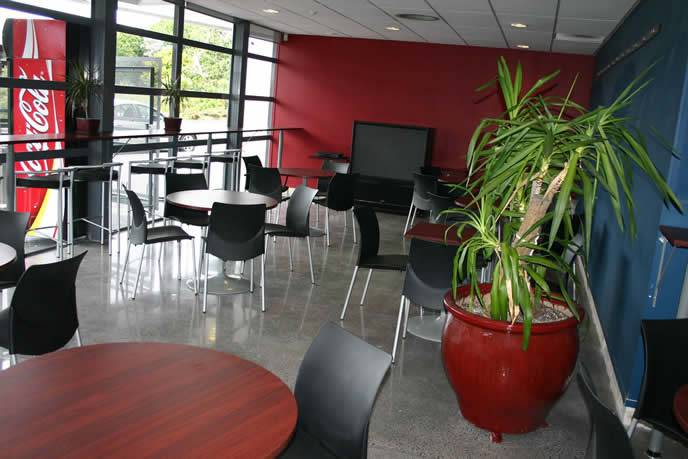 Sth Pacific Pictures Cafe - Polished Concrete